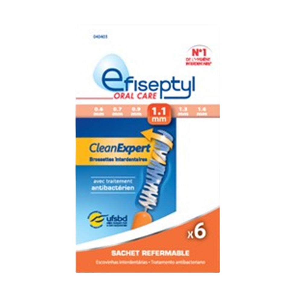 Brossettes clean expert 1,1mm EFISEPTYL, x6