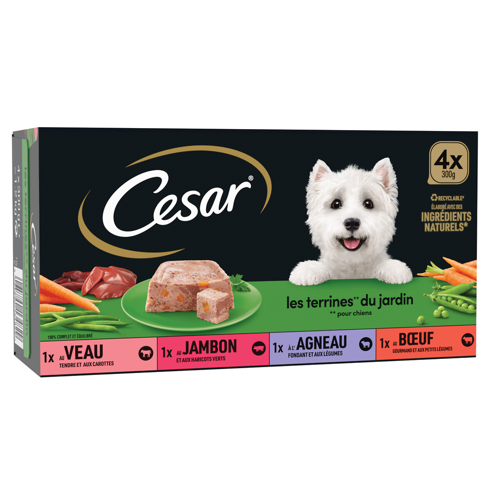 Barquettes chien Les terrines du jardin CESAR - 4x300g