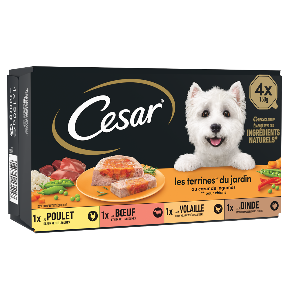 Barquettes chien Les terrines du jardin en gelée CESAR - 4x150g