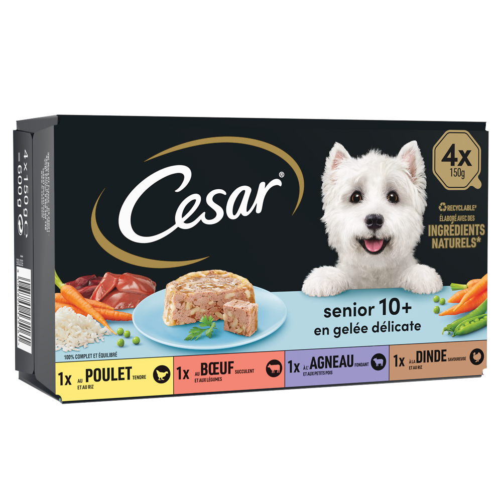 Barquettes chien sénior en gelée CESAR - 4x150g