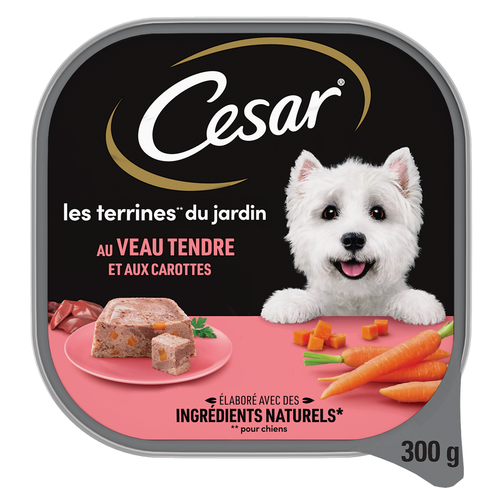 Barquette chien Les terrines classiques veau et carottes CESAR - 300g