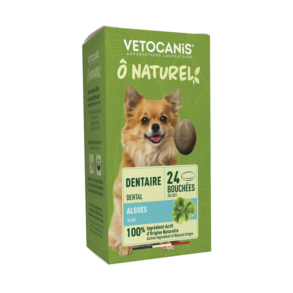 Bouchées anti-tartre chien VETOCANIS x24