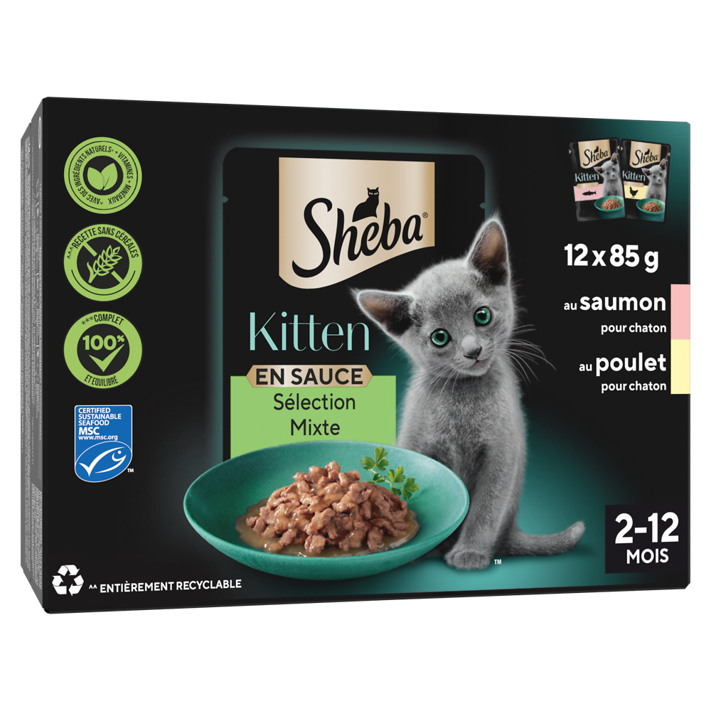 Sachets fraîcheur chaton au saumon et au poulet en sauce SHEBA - 12x85g