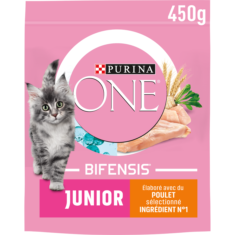 Croquettes pour chaton JUNIOR Poulet, Céréales Complètes PURINA ONE -450g