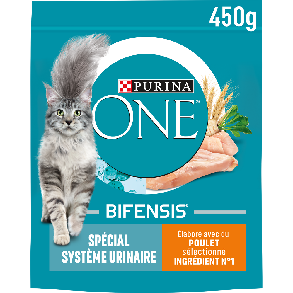 Croquettes pour chat adulte SYSTÈME URINAIRE Poulet, Blé PURINA ONE -450g