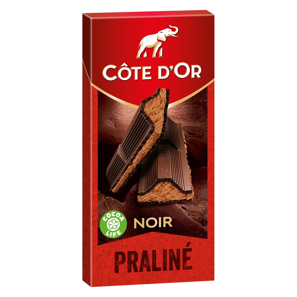 Chocolat noir fourré au praliné noisettes COTE D'OR - Tablette de 200g